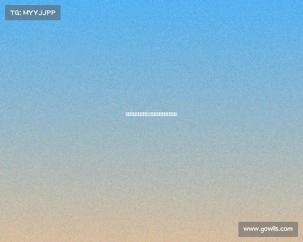 电子竞技程序员英文;电子竞技程序员英文缩写